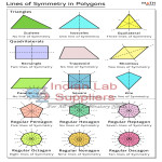 Lines of Symmetry